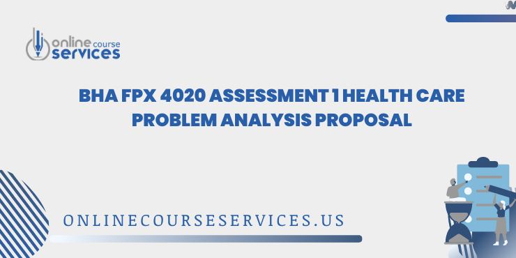BHA FPX 4020 Assessment 1 Health Care Problem Analysis Proposal