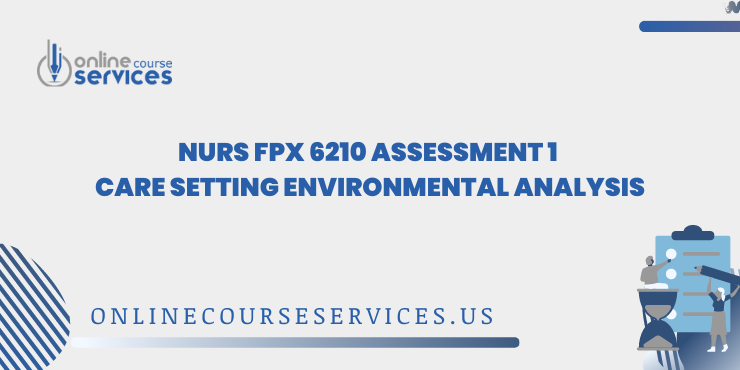 NURS FPX 6210 Assessment 1